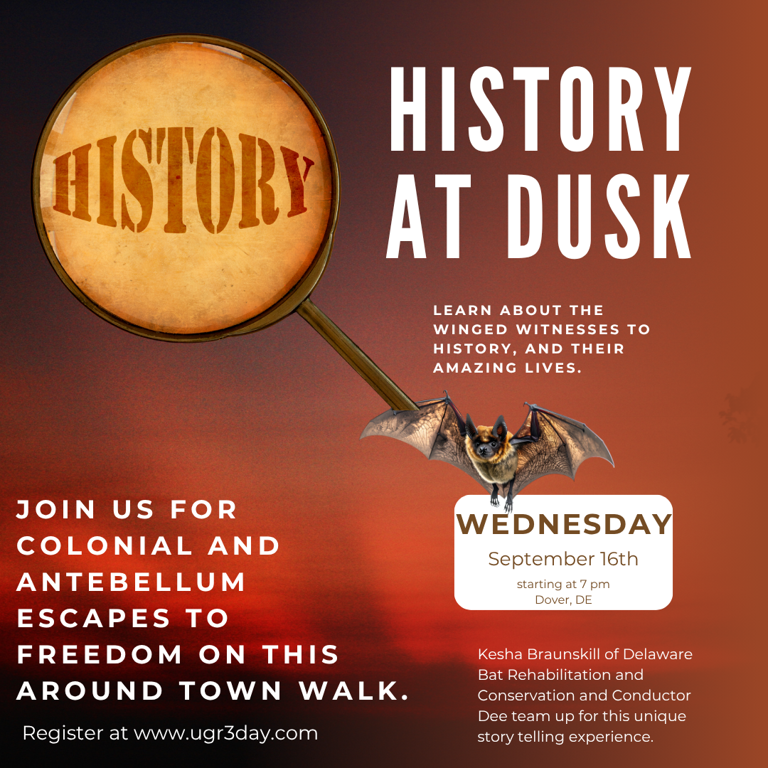 History at Dusk